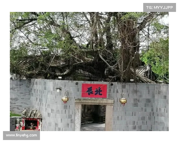 全面掌握澄海3C5.49版本地图安装与配置技巧详解