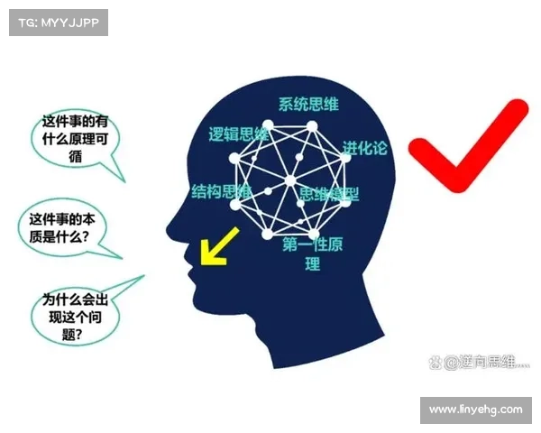 如何通过圣导师加点系统科学提升角色全面能力并实现最佳成长路径