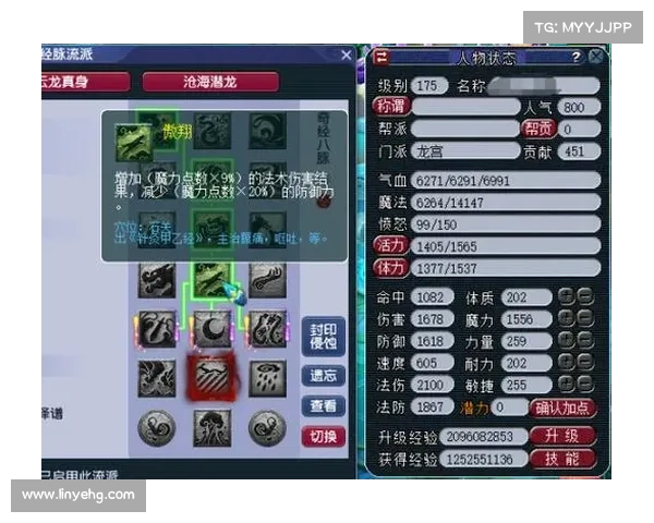 梦幻西游龙宫职业加点全攻略揭秘打造最强龙宫的终极技巧