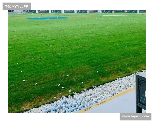 全方位聚焦洛塞尔索五大技术特点的深度解析与球场综合价值展现